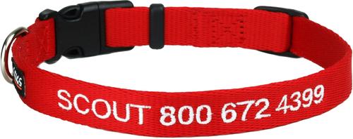 Show full view: GoTags Small Font Personalized Dog Collar, Red, Small slide 1 of 6