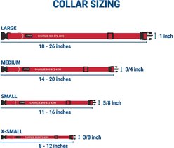 GoTags Small Font Personalized Dog Collar, Red, Small slide 2 of 5