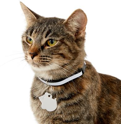 Show full view: GoTags Stainless Steel Personalized Cat ID Tag, Mouse slide 4 of 6
