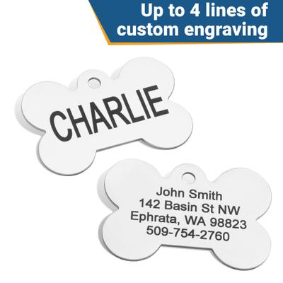 Show full view: GoTags Stainless Steel Personalized Dog Tag with Silencer, Bone, Regular slide 5 of 7