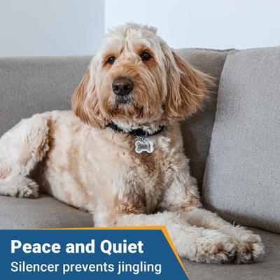 Show full view: GoTags Stainless Steel Personalized Dog Tag with Silencer, Bone, Regular slide 2 of 7