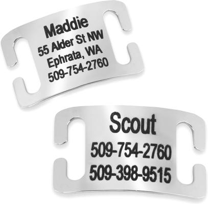 Show full view: GoTags Stainless Steel Slide-On Personalized Dog & Cat ID Tag, Open Design, Large slide 1 of 7