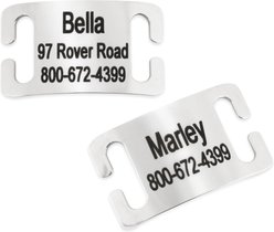 GoTags Stainless Steel Slide-On Personalized Dog & Cat ID Tag, Open Design, Medium