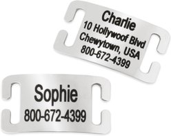 GoTags Stainless Steel Slide-On Personalized Dog & Cat ID Tag, Open Design, Small