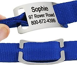 GoTags Stainless Steel Slide-On Personalized Dog & Cat ID Tag, Open Design, Small slide 2 of 6
