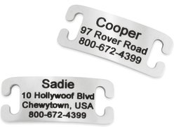 GoTags Stainless Steel Slide-On Personalized Dog & Cat ID Tag, Open Design, X-Small