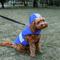 Show in main carousel: GoTags Water Resistant Personalized Dog Raincoat, Blue, Small slide 3 of 9