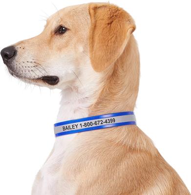 Show full view: GoTags Waterproof Personalized Reflective Dog Collar, Blue, 18 to 21-in neck, 1-in wide slide 3 of 8