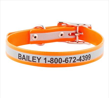 Show full view: GoTags Waterproof Personalized Reflective Dog Collar, Orange, 14 to 16-in neck, 3/4-in wide slide 1 of 8