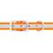 Show in main carousel: GoTags Waterproof Personalized Reflective Dog Collar, Orange, 14 to 16-in neck, 3/4-in wide slide 4 of 8