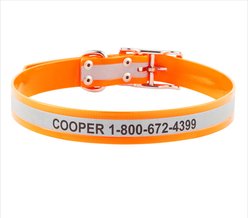 GoTags Waterproof Personalized Reflective Dog Collar, Orange, 22 to 25-in neck, 1-in wide