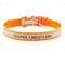 Show in main carousel: GoTags Waterproof Personalized Reflective Dog Collar, Orange, 22 to 25-in neck, 1-in wide slide 1 of 8