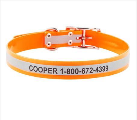 Show full view: GoTags Waterproof Personalized Reflective Dog Collar, Orange, 22 to 25-in neck, 1-in wide slide 1 of 8