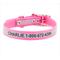 Show in main carousel: GoTags Waterproof Personalized Reflective Dog Collar, Pink, 14 to 16-in neck, 3/4-in wide slide 1 of 8