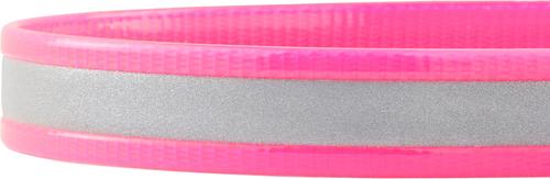 Show full view: GoTags Waterproof Personalized Reflective Dog Collar, Pink, 14 to 16-in neck, 3/4-in wide slide 5 of 8