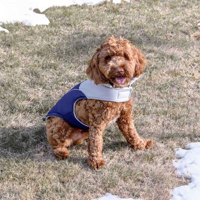 Show full view: GoTags Christmas Winter Puffer Personalized Dog Coat, Blue, X-Small slide 6 of 8