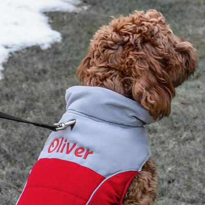 Show full view: GoTags Christmas Winter Puffer Personalized Dog Coat, Red, Small slide 3 of 9