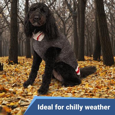 Show full view: GoTags Wool Personalized Dog Sweater, Light Grey, Small slide 2 of 8