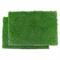 Show in main carousel: Gotta Go Grass Reptile Real Grass Pad Refill, 16-in x 24-in, 2 count slide 1 of 7