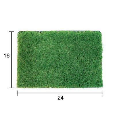 Show full view: Gotta Go Grass Reptile Real Grass Pad Refill, 16-in x 24-in, 2 count slide 3 of 7