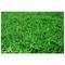 Show in main carousel: Gotta Go Grass Reptile Real Grass Pad Refill, 16-in x 24-in, 2 count slide 6 of 7
