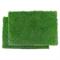 Show in main carousel: Gotta Go Grass Reptile Real Grass Pad with Tray 16-in x 24-in, 2 count slide 1 of 8