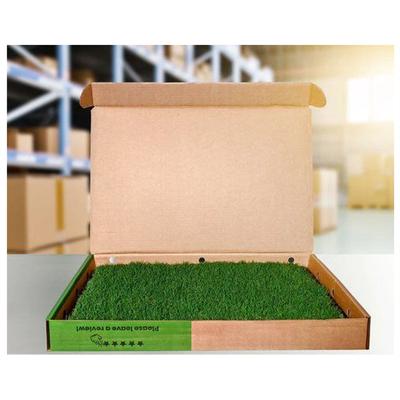 Show full view: Gotta Go Grass Reptile Real Grass Pad with Tray 16-in x 24-in, 2 count slide 6 of 8