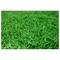 Show in main carousel: Gotta Go Grass Reptile Real Grass Pad with Tray 16-in x 24-in, 2 count slide 7 of 8