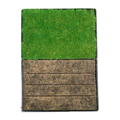 Show full view: Gotta Go Grass Reptile Real Grass Pad with Tray 16-in x 24-in, 2 count slide 2 of 8