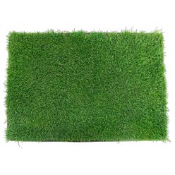Gotta Go Grass Reptile Real Grass Pad with Tray, 16-in x 24-in