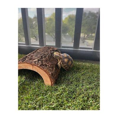 Show full view: Gotta Go Grass Reptile Real Grass Pad with Tray, 16-in x 24-in slide 2 of 7