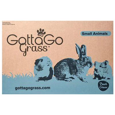 Show full view: Gotta Go Grass Small Pet Real Grass Pad Liner Refill, 16-in x 24in, 2 count slide 5 of 9