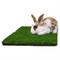 Show in main carousel: Gotta Go Grass Small Pet Real Grass Pad Liner Refill, 16-in x 24in, 2 count slide 2 of 9