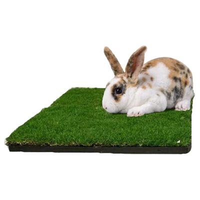 Show full view: Gotta Go Grass Small Pet Real Grass Pad Liner Refill, 16-in x 24in, 2 count slide 2 of 9