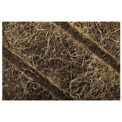 Show full view: Gotta Go Grass Small Pet Real Grass Pad Liner Refill, 16-in x 24in, 2 count slide 4 of 9