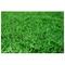 Show in main carousel: Gotta Go Grass Small Pet Real Grass Pad Liner Refill, 16-in x 24in, 2 count slide 8 of 9