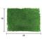 Show in main carousel: Gotta Go Grass Small Pet Real Grass Pad Liner with Tray, 16-in x 24-in, 2 count slide 4 of 9