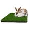 Show in main carousel: Gotta Go Grass Small Pet Real Grass Pad Liner with Tray, 16-in x 24-in, 2 count slide 2 of 9