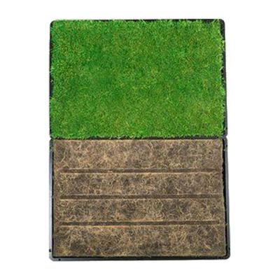Show full view: Gotta Go Grass Small Pet Real Grass Pad Liner with Tray, 16-in x 24-in, 2 count slide 3 of 9