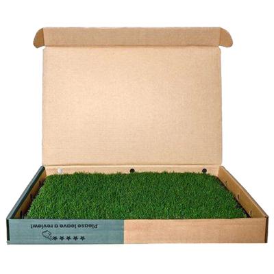 Show full view: Gotta Go Grass Small Pet Real Grass Pad Liner with Tray, 16-in x 24-in, 2 count slide 6 of 9
