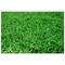 Show in main carousel: Gotta Go Grass Small Pet Real Grass Pad Liner with Tray, 16-in x 24-in, 2 count slide 8 of 9
