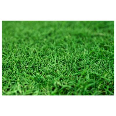 Show full view: Gotta Go Grass Small Pet Real Grass Pad Liner with Tray, 16-in x 24-in, 2 count slide 8 of 9
