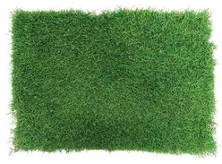 Gotta Go Grass Small Pet Real Grass Pad Liner with Tray, 16-in x 24-in slide 1 of 9