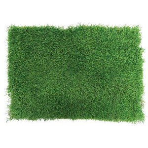 Gotta Go Grass Reptile Real Grass Pad with Tray, 16-in x 24-in