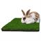 Show in main carousel: Gotta Go Grass Small Pet Real Grass Pad Liner with Tray, 16-in x 24-in slide 2 of 9