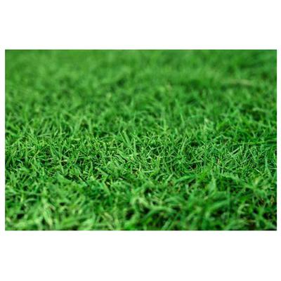 Show full view: Gotta Go Grass Small Pet Real Grass Pad Liner with Tray, 16-in x 24-in slide 4 of 9