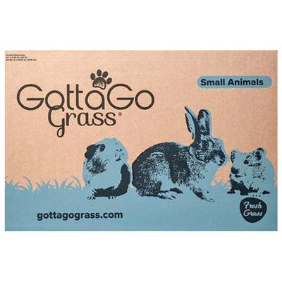 Show full view: Gotta Go Grass Small Pet Real Grass Pad Liner with Tray, 16-in x 24-in slide 6 of 9