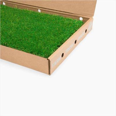 Show full view: Gotta Go Grass Small Pet Real Grass Pad Liner with Tray, 16-in x 24-in slide 8 of 9
