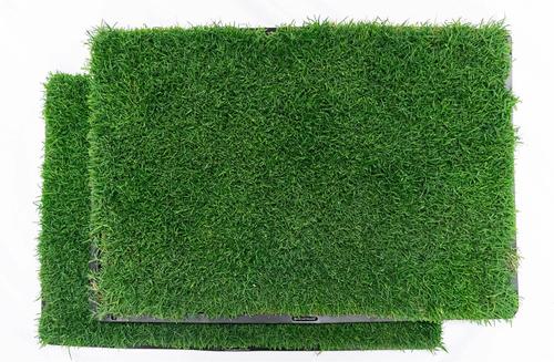 Show full view: Gotta Go Grass the Natural Relief with interlocking Tray Dog Potty Pads, 16-in x 24-in, 2 count slide 2 of 8