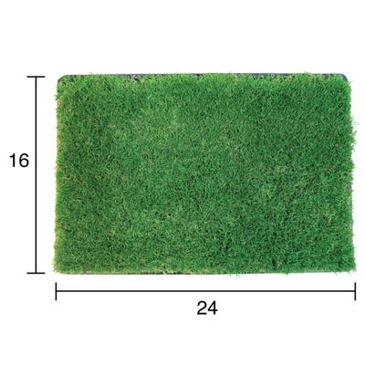 Show full view: Gotta Go Grass the Natural Relief with interlocking Tray Dog Potty Pads, 16-in x 24-in, 2 count slide 3 of 8